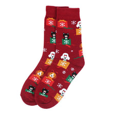 Load image into Gallery viewer, Parquet Women's Cats and Dog Novelty Socks – Holiday Gift Box Design