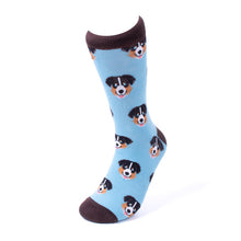 Load image into Gallery viewer, Parquet Men’s Australian Shepherd Novelty Crew Socks – Light Blue & Brown