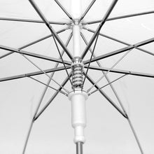 Load image into Gallery viewer, Parquet Premium Clear Umbrella – Auto Open, Slim Handle, 33" Arc
