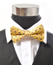 Load image into Gallery viewer, Silk Medallion & Dot Grid Banded Bow Tie – Printed Twill, Boxed