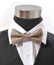 Load image into Gallery viewer, Silk Framed Diamond Pattern Banded Bow Tie – Printed Twill, Boxed