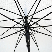 Load image into Gallery viewer, Parquet Polka Dot Premium Clear Umbrella – Auto Open, Slim Handle, 33" Arc