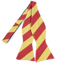 Load image into Gallery viewer, Umo Lorenzo Men's Silk Woven Freestyle College Bow Tie – 26 Color Options