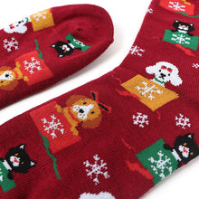 Load image into Gallery viewer, Parquet Women's Cats and Dog Novelty Socks – Holiday Gift Box Design