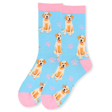 Load image into Gallery viewer, Nollia 36-Pair Women’s Assorted Novelty Socks – Random Mixed Styles