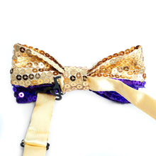 Load image into Gallery viewer, Men's Dual Color Sequin Bow Tie