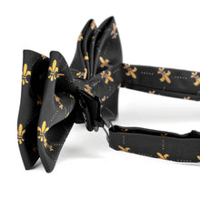 Load image into Gallery viewer, Men's Fleur-de-lis Banded Bow Tie