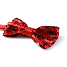 Load image into Gallery viewer, Men's Big & Tall Sparkle Sequin Banded Bow Tie