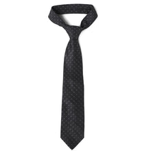 Load image into Gallery viewer, Men's Micro Fiber Poly Woven Regular Tie