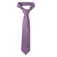 Load image into Gallery viewer, Men's Micro Fiber Poly Woven Regular Tie -MPW5985