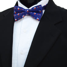 Load image into Gallery viewer, Men's I Love Texas Banded Bow Tie