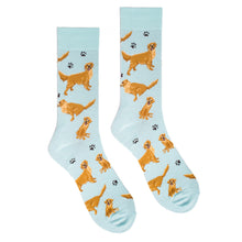 Load image into Gallery viewer, Parquet Men’s Golden Retriever & Paw Print Novelty Crew Socks – Light Blue
