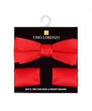Load image into Gallery viewer, Boy's Bow Tie and Hanky set
