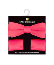 Load image into Gallery viewer, Boy's Bow Tie and Hanky set