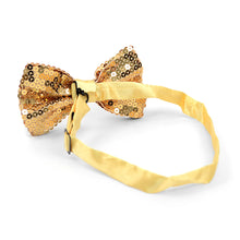 Load image into Gallery viewer, Men’s 2.5" Sparkle Sequin Banded Bow Tie – Pre-Tied, 9 Colors