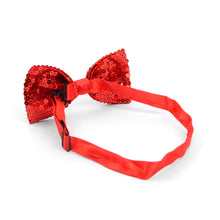 Load image into Gallery viewer, Men's Big & Tall Sparkle Sequin Banded Bow Tie