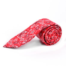 Load image into Gallery viewer, Parquet Paisley 100% Cotton Slim Tie – 2.5" Width