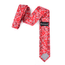 Load image into Gallery viewer, 2.25" Paisley Cotton Slim Tie - NVC-PAISLEY