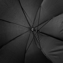 Load image into Gallery viewer, UM5012_08__68214.JPG