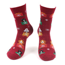Load image into Gallery viewer, Parquet Women's Cats and Dog Novelty Socks – Holiday Gift Box Design
