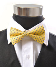 Load image into Gallery viewer, Silk Petite Floral Tile Pattern Banded Bow Tie – Printed Twill, Boxed
