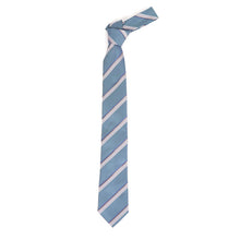 Load image into Gallery viewer, Vincent Di Mani 36pc Randomly Assorted Poly Woven Tie Pre-Pack – Includes Hangers
