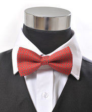 Load image into Gallery viewer, Silk Diamond Pattern Banded Bow Tie – Printed Twill, Boxed
