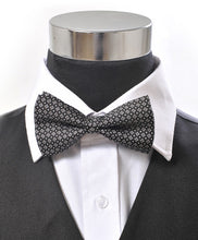 Load image into Gallery viewer, Silk Diamond Pattern Banded Bow Tie – Printed Twill, Boxed
