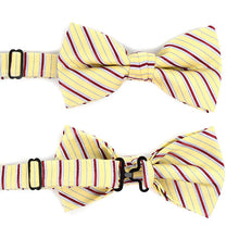 Load image into Gallery viewer, Laurant Bennet Striped Banded Bow Tie &amp; Matching Hanky Pocket Round Set
